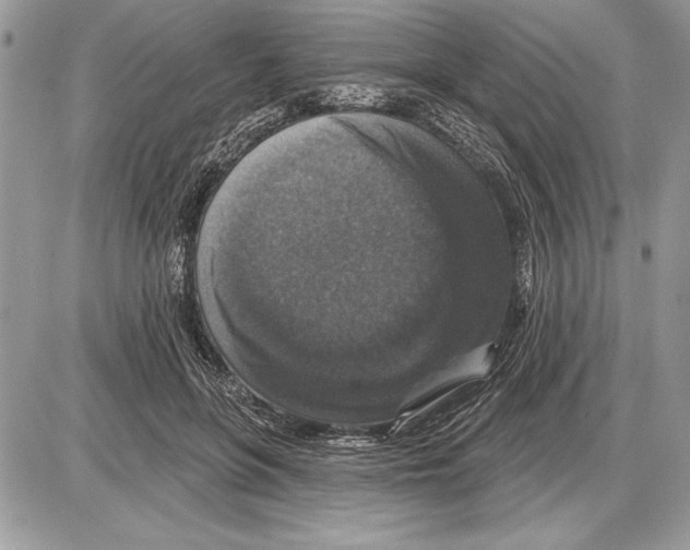 X0000085770551200704131806