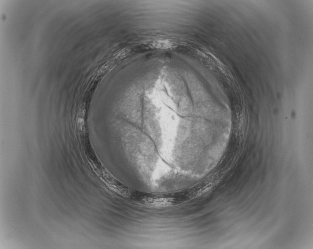 X0000085770553200704131806