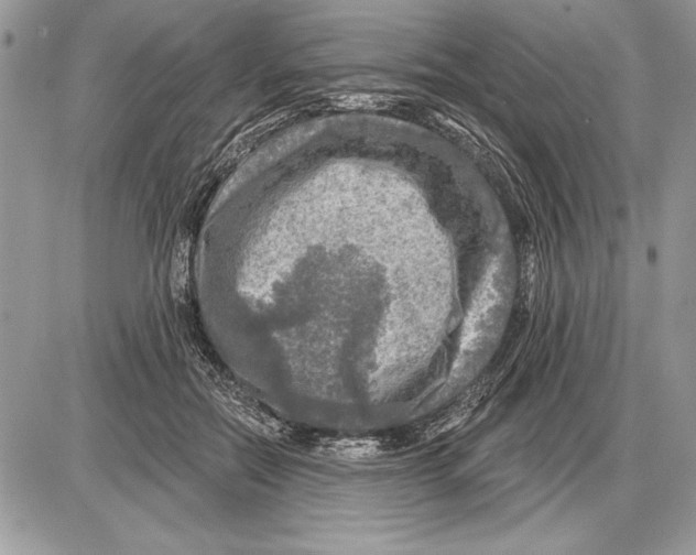 X0000085770554200704131806