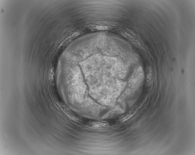 X0000085770555200704131806