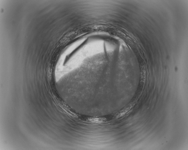 X0000085770558200704131806