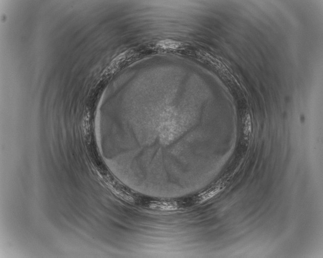 X0000085770559200704131806