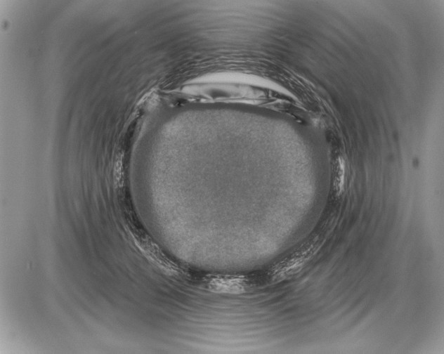 X0000085770560200704131806