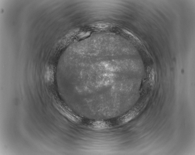 X0000085770562200704131806