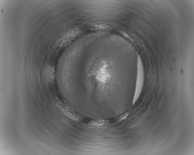 X0000085770563200704131806