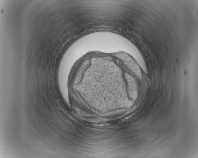 X0000085770564200704131806