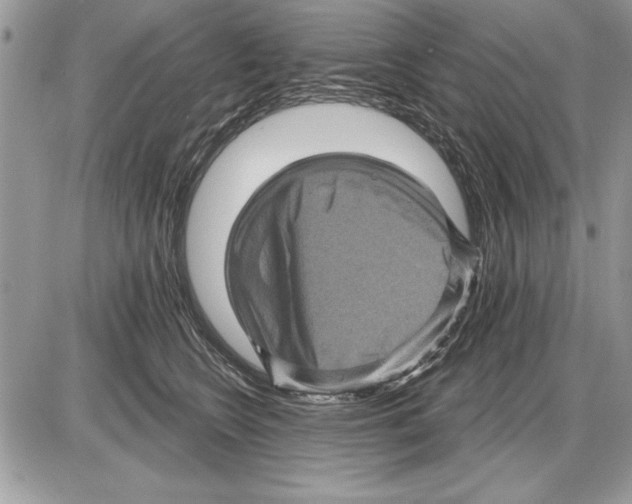 X0000085770566200704131806