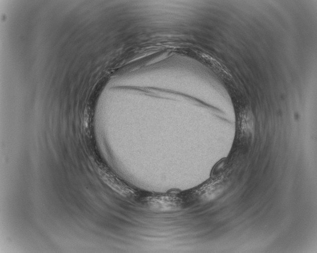 X0000085770567200704131806