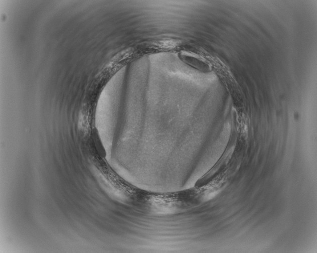 X0000085770568200704131806