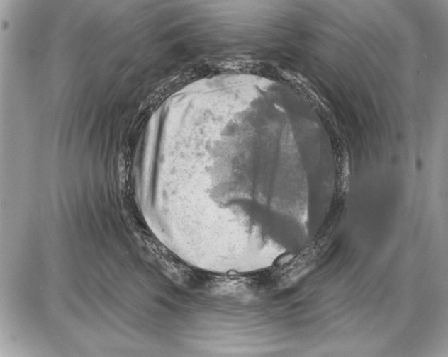 X0000085770569200704131806