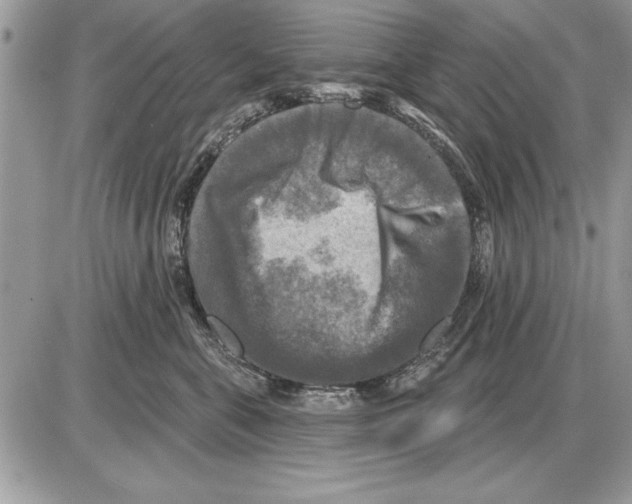 X0000085770571200704131806