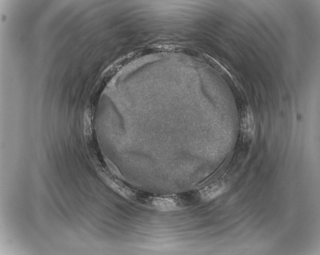 X0000085770572200704131806