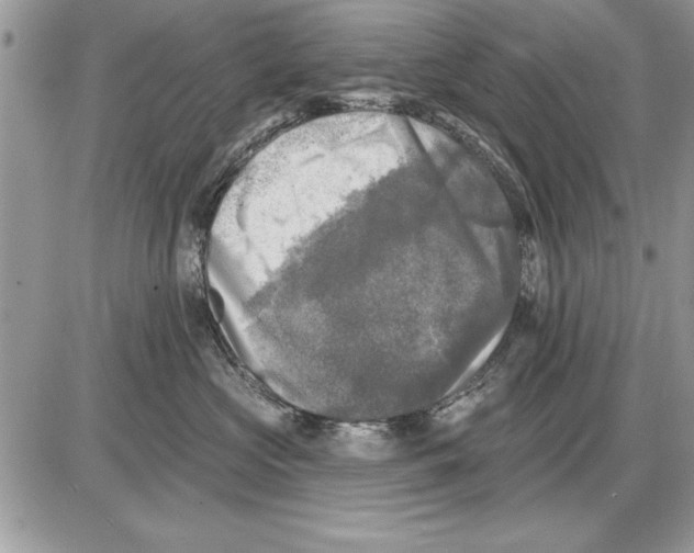 X0000085770573200704131806