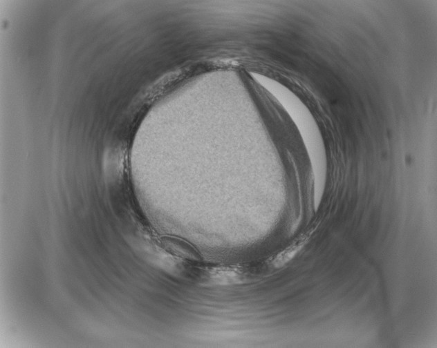 X0000085770574200704131806