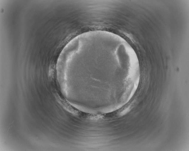 X0000085770576200704131806