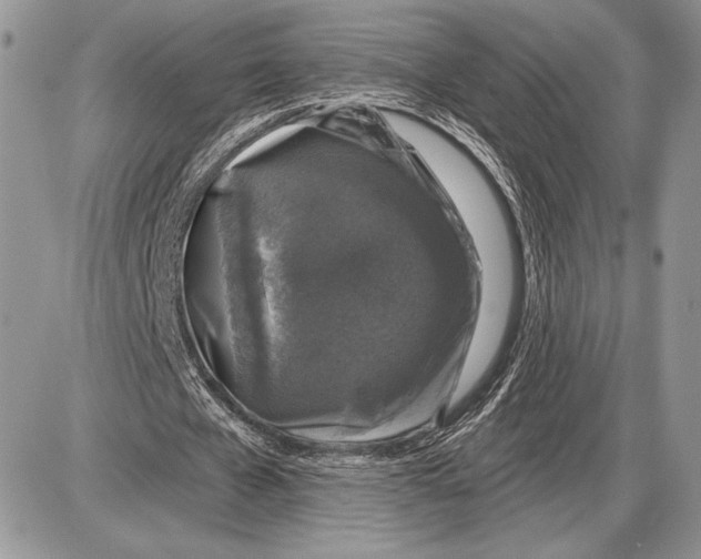 X0000085770577200704131806