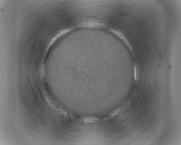 X0000085770579200704131806