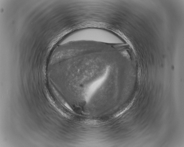 X0000085770581200704131806