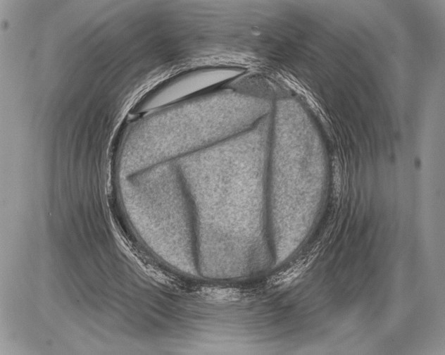 X0000085770582200704131805