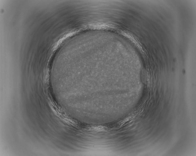 X0000085770583200704131805