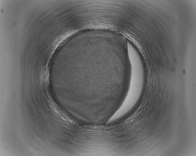 X0000085770584200704131805