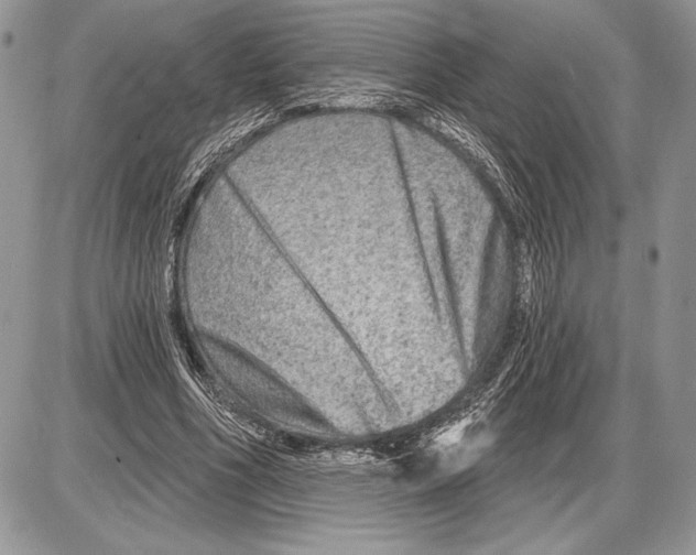 X0000085770586200704131805