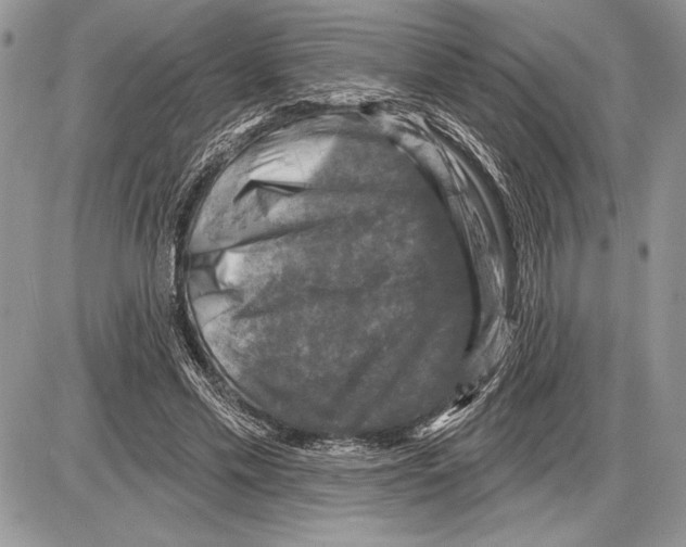 X0000085770589200704131805