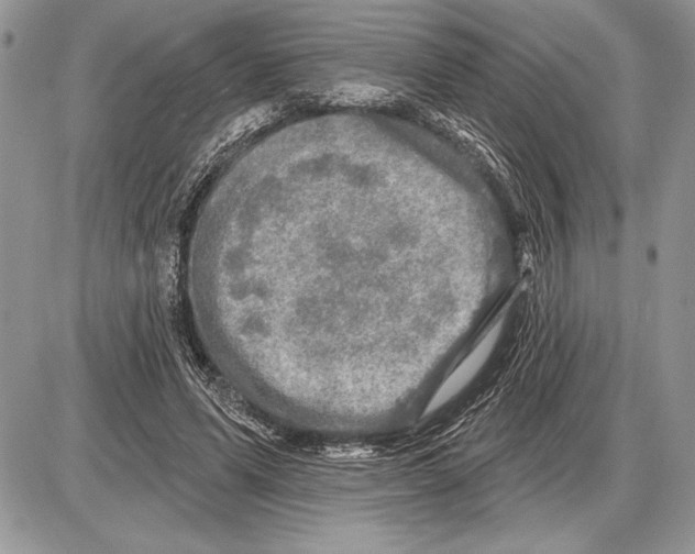 X0000085770591200704131805