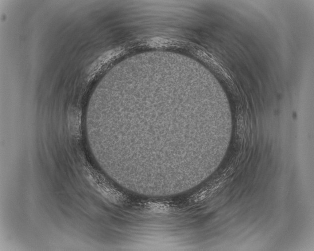 X0000085770592200704131805