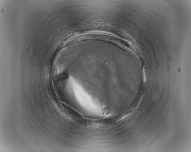 X0000085770593200704131805