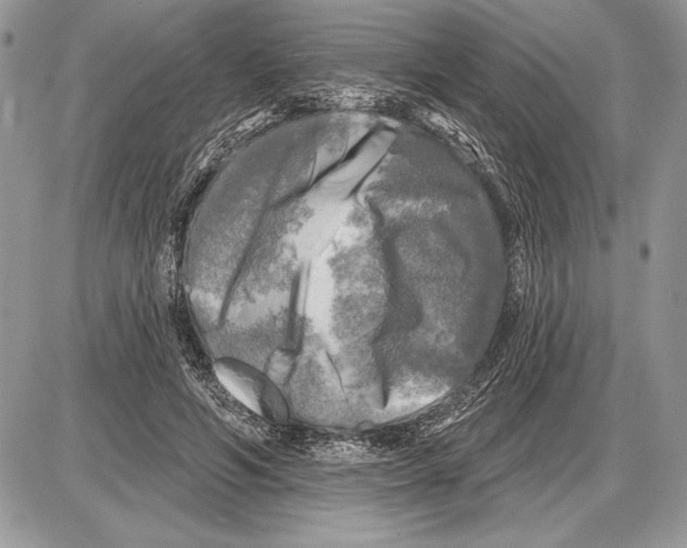 X0000085770594200704131805