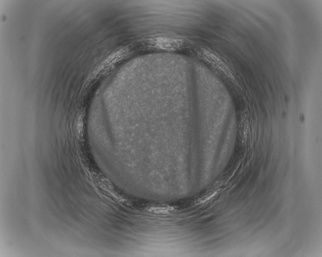 X0000085770595200704131805