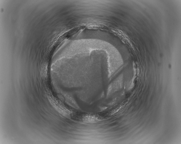 X0000085770596200704131805