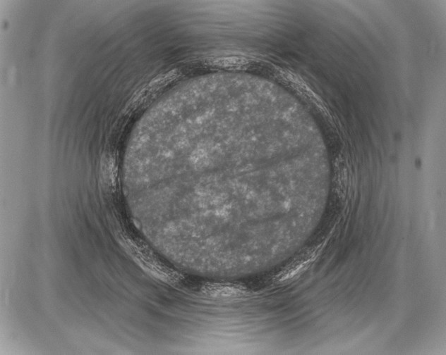 X0000085770597200704131805