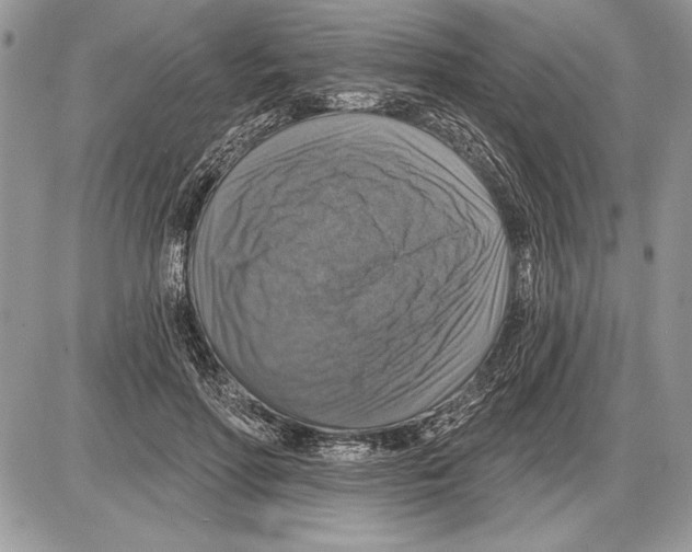 X0000085770598200704131805