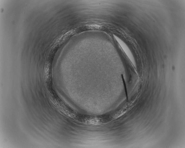 X0000085770600200704131805