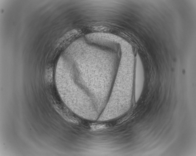 X0000085770602200704131805