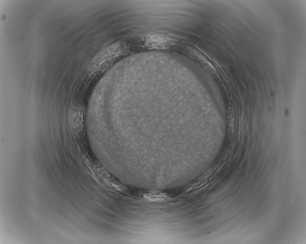 X0000085770603200704131805