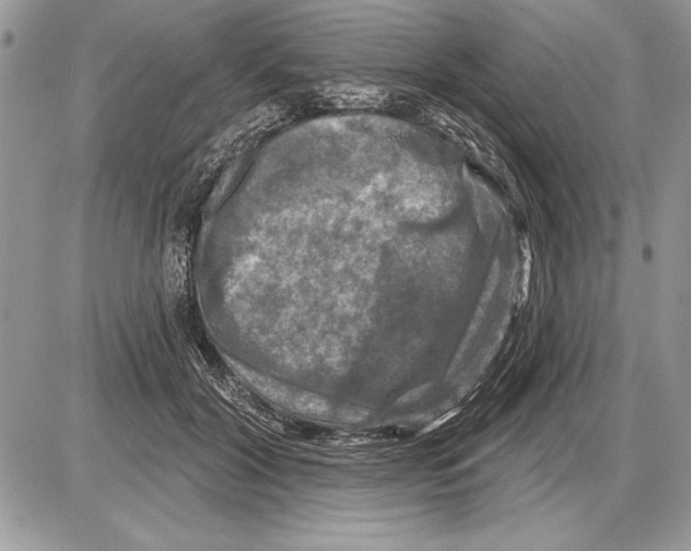 X0000085770604200704131805