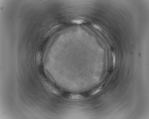 X0000085770605200704131805