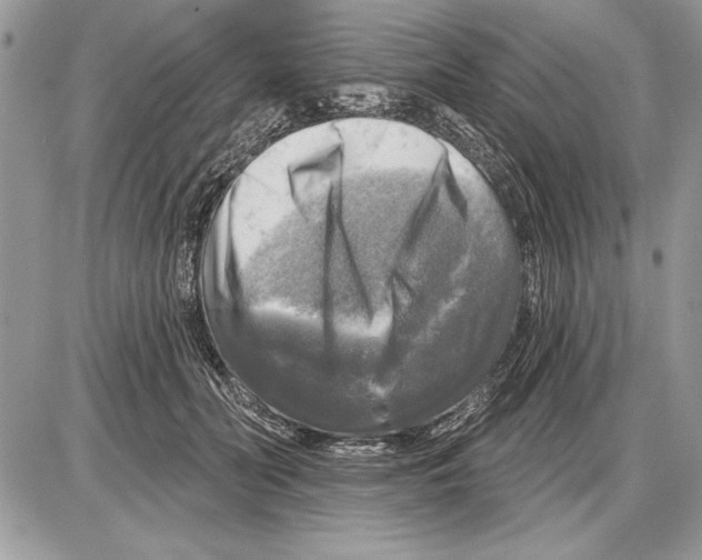 X0000085770606200704131805