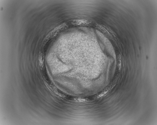 X0000085770607200704131805