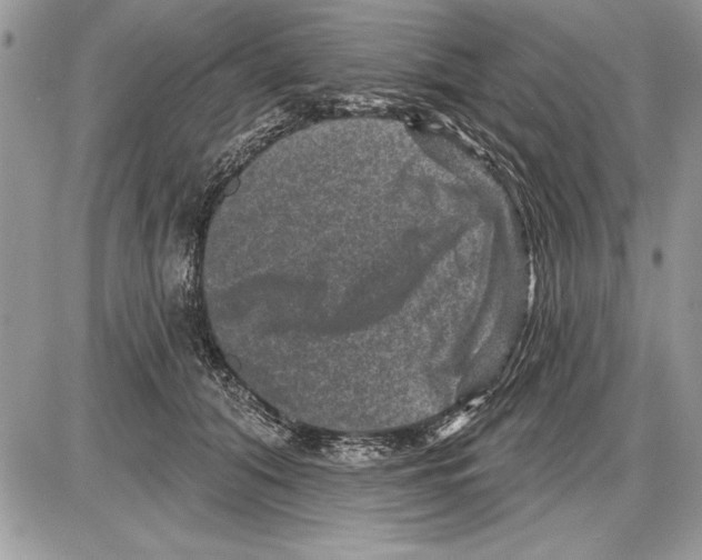 X0000085770608200704131805