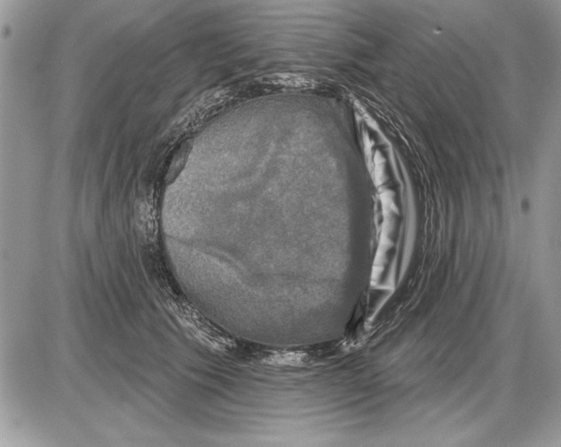 X0000085770609200704131805