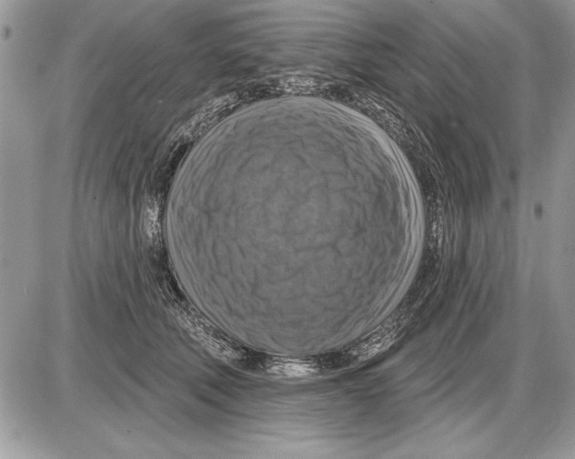 X0000085770610200704131805