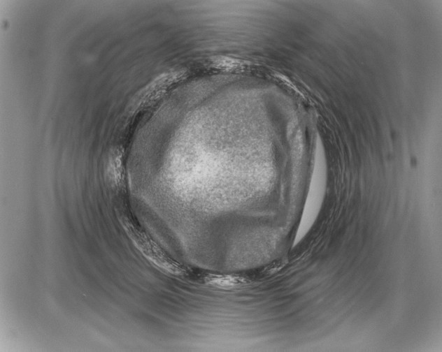 X0000085770611200704131805