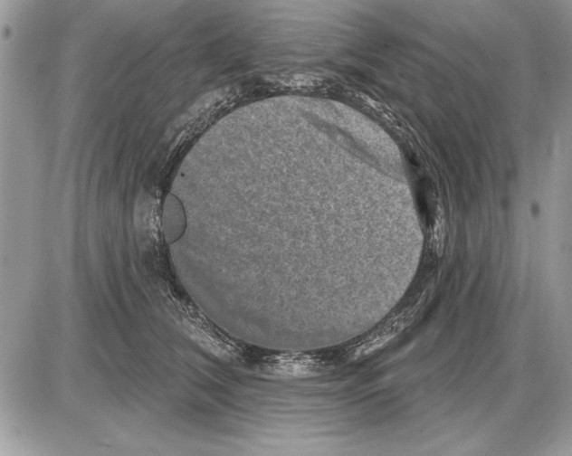 X0000085770612200704131805