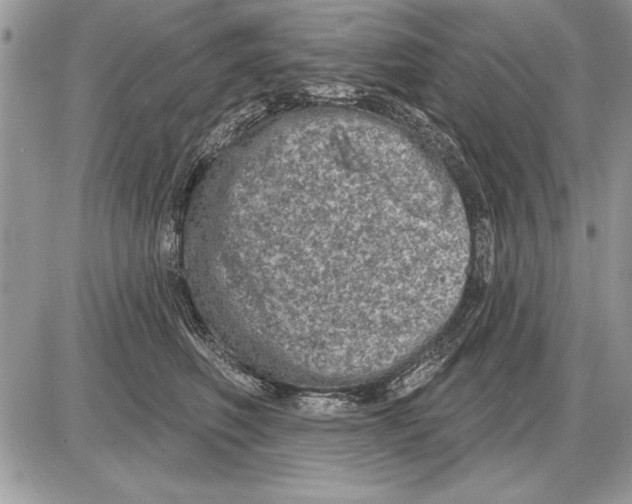 X0000085770614200704131805