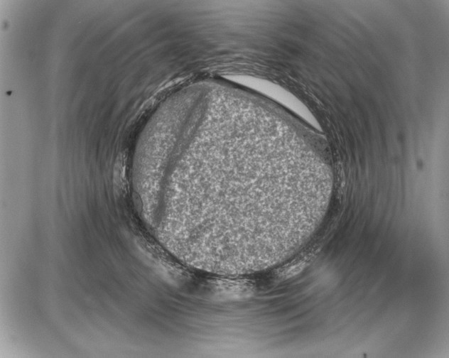 X0000085770615200704131805