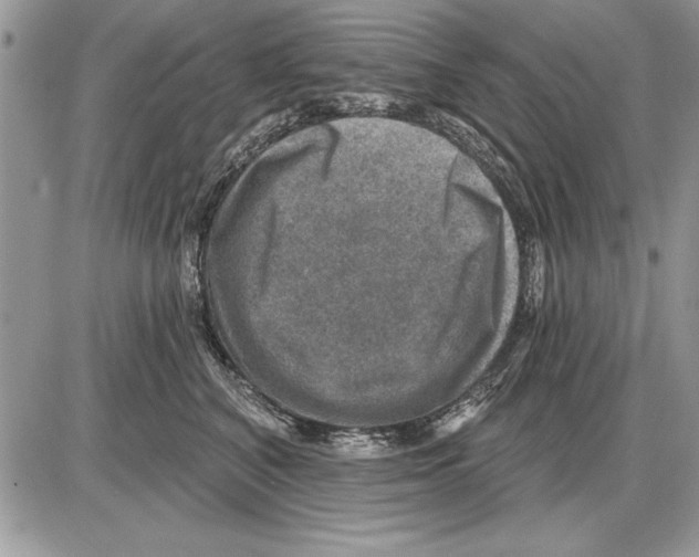 X0000085770616200704131805